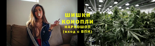 ПСИЛОЦИБИНОВЫЕ ГРИБЫ Алексин