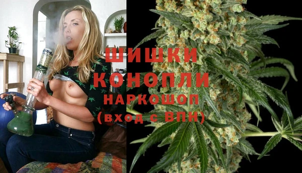ешки Алзамай